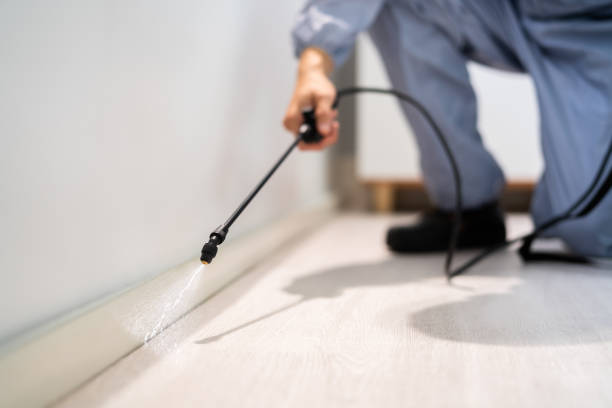 Licensed Termite Control service in Athens, MI - Nex Pest Control