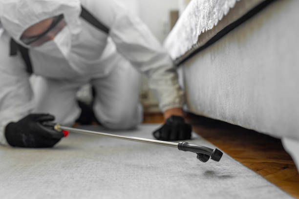 Professional Termite Control technician working in Athens, MI