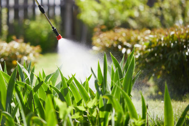 24/7 Emergency Termite Control experts in Athens, MI