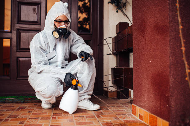 Reliable Termite Control contractor in Athens, MI by Nex Pest Control