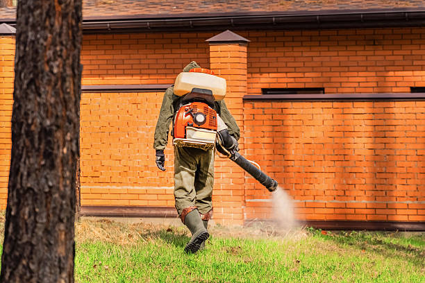 Top rated local Termite Control specialists in Athens, MI